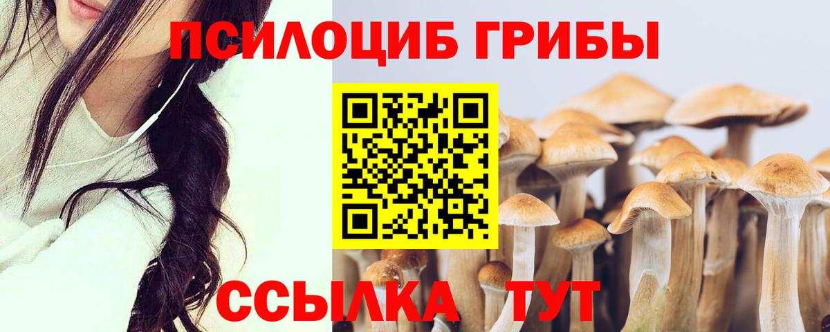 Галлюциногенные грибы прущие грибы  Вход с VPN  Галлюциногенные грибы MAGIC MUSHROOMS  Татарск 